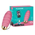 Pleasure Connexion Rose