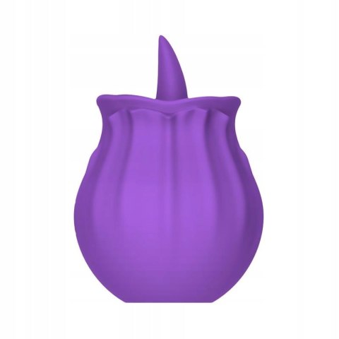 Purple Rose Purple Rose