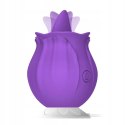 Purple Rose