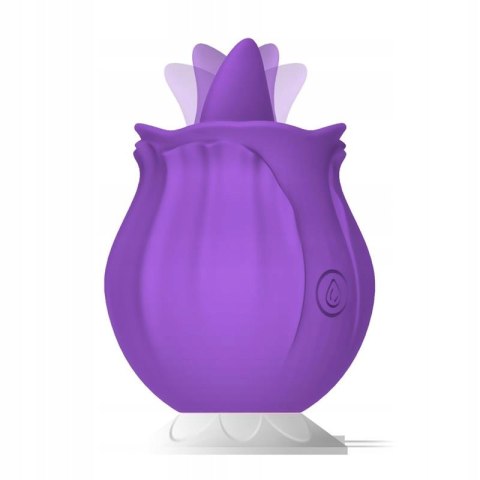 Purple Rose Purple Rose