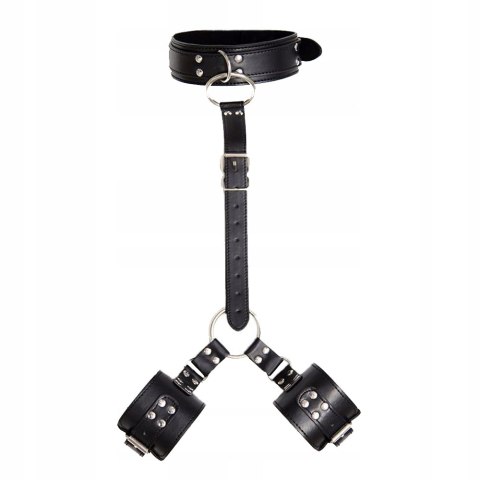 Regulowana uprząż Collar With Restraints Regulowana uprząż Collar With Restraints