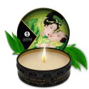 Shunga CANDLE świeca do masażu, zapach zielonej herbaty. Erotyczny i zmysłowy masaż. Shunga CANDLE świeca do masażu, zapach zielonej herbaty. Erotyczny i zmysłowy masaż.