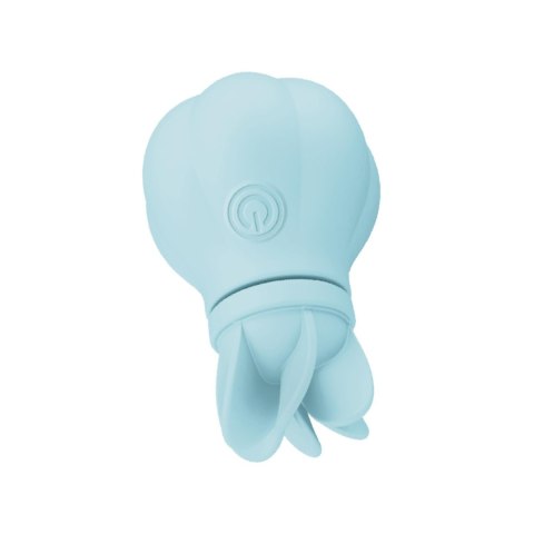 AD.Caress Blue AD.Caress Blue