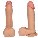 Dildo z kręgosłupem zginane przyssawka jądra 20cm Dildo z kręgosłupem zginane przyssawka jądra 20cm
