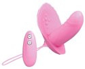 Stymulator-Shelly RC Stymulator-Shelly RC
