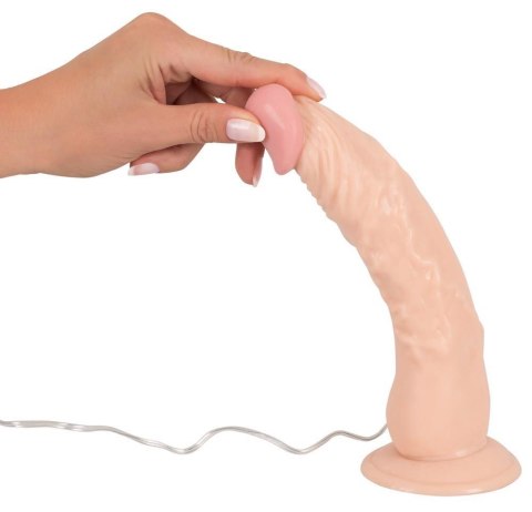 Realistyczny sterczący penis członek dildo 23cm Realistyczny sterczący penis członek dildo 23cm