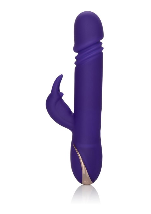 Wibrator-JACK RABBITSIGNATURE PURPLE Wibrator-JACK RABBITSIGNATURE PURPLE