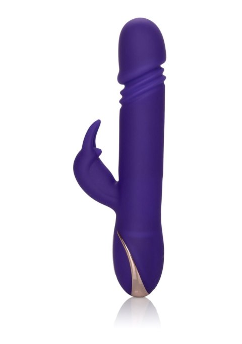 Wibrator-JACK RABBITSIGNATURE PURPLE Wibrator-JACK RABBITSIGNATURE PURPLE