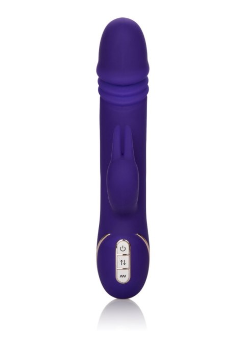 Wibrator-JACK RABBITSIGNATURE PURPLE Wibrator-JACK RABBITSIGNATURE PURPLE