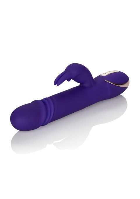 Wibrator-JACK RABBITSIGNATURE PURPLE Wibrator-JACK RABBITSIGNATURE PURPLE