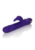 Wibrator-JACK RABBITSIGNATURE PURPLE Wibrator-JACK RABBITSIGNATURE PURPLE