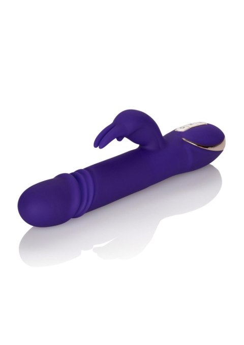 Wibrator-JACK RABBITSIGNATURE PURPLE Wibrator-JACK RABBITSIGNATURE PURPLE