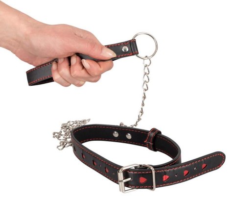 Smycz metalowa z obrożą kobieca bondage bdsm sex Smycz metalowa z obrożą kobieca bondage bdsm sex