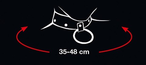 Smycz metalowa z obrożą kobieca bondage bdsm sex Smycz metalowa z obrożą kobieca bondage bdsm sex
