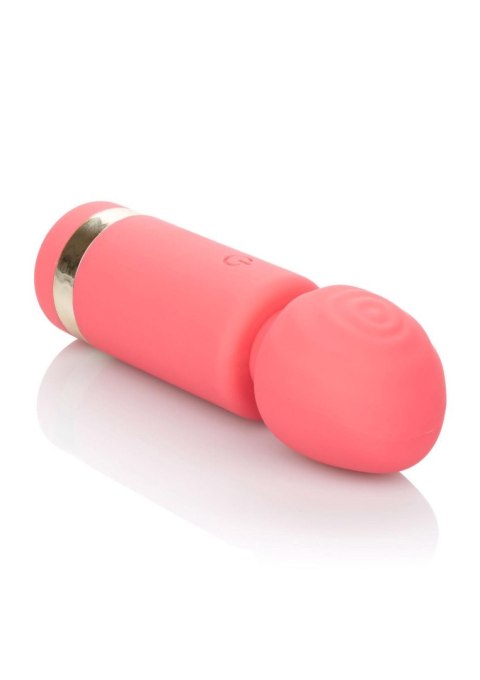 Stymulator-Slay Exciter Stymulator-Slay Exciter