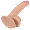 Wygięte realistyczne dildo z przyssawką penis 18cm Wygięte realistyczne dildo z przyssawką penis 18cm
