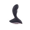 Vibratore Anale Behind Vers Vibratore Anale Behind Vers