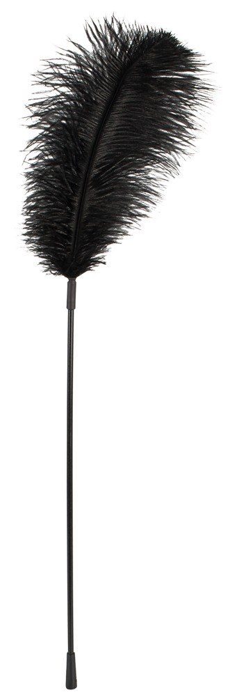 Black feather Bad Kitty Black feather Bad Kitty
