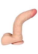 Dildo z kręgosłupem członek penis z jądrami 23cm Dildo z kręgosłupem członek penis z jądrami 23cm