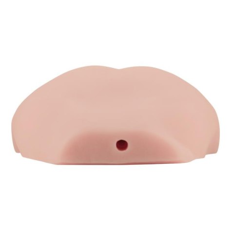 Masturbator realistyczna pupa anal cipka wibracje Masturbator realistyczna pupa anal cipka wibracje