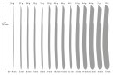 PPlug 14-Piece Dilator Set PPlug 14-Piece Dilator Set