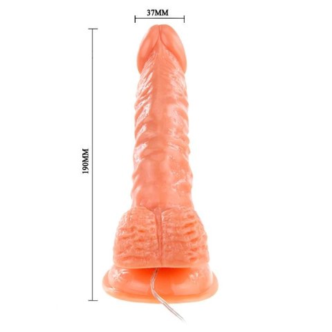 Wibrujący żylasty realistyczny penis z przyssawką Wibrujący żylasty realistyczny penis z przyssawką