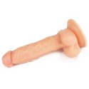 Giętki żyły penis gruby z przyssawką dildo 20 cm Giętki żyły penis gruby z przyssawką dildo 20 cm