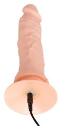 Giętkie elastyczne żylaste dildo z wibracjami 21,5