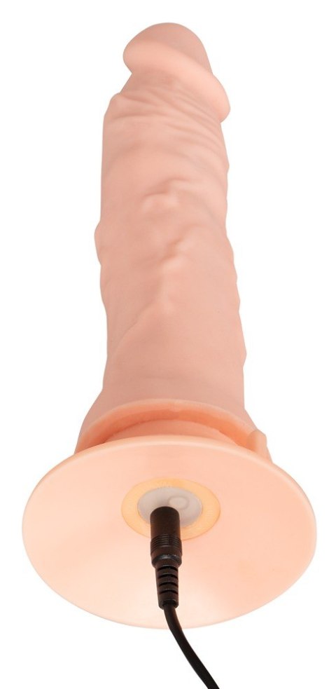 Giętkie elastyczne żylaste dildo z wibracjami 21,5 Giętkie elastyczne żylaste dildo z wibracjami 21,5
