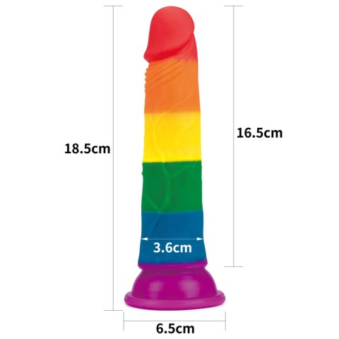 Tęczowe dildo elastyczne z przyssawką silikonowe Tęczowe dildo elastyczne z przyssawką silikonowe