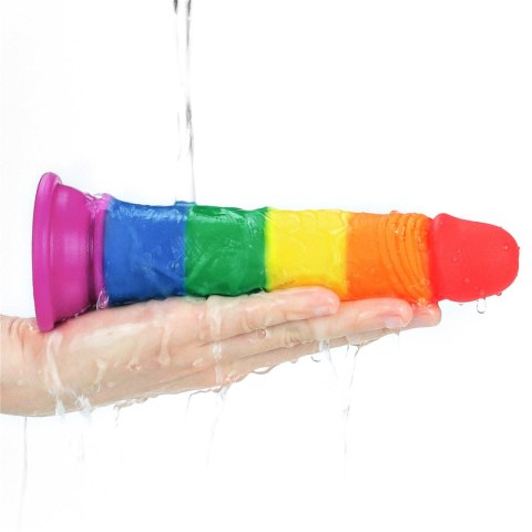 Tęczowe dildo elastyczne z przyssawką silikonowe Tęczowe dildo elastyczne z przyssawką silikonowe