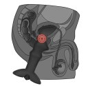 Stylowy i praktyczny czarny wibrator prostaty Stylowy i praktyczny czarny wibrator prostaty