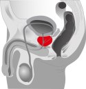 Rotacyjny masażer prostaty wibrator 5 trybów 20cm Rotacyjny masażer prostaty wibrator 5 trybów 20cm