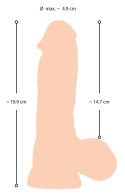 NS Dildo with movable skin 20 NS Dildo with movable skin 20