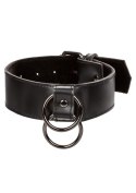 Collar With Chain Leash Black Collar With Chain Leash Black
