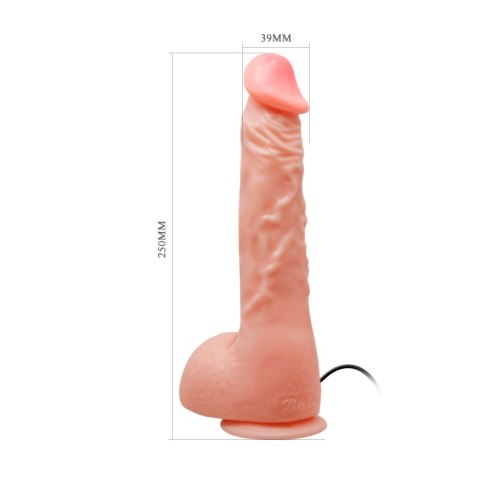 DILDO SEXTOY TOP PENIS 05-1006 DILDO SEXTOY TOP PENIS 05-1006