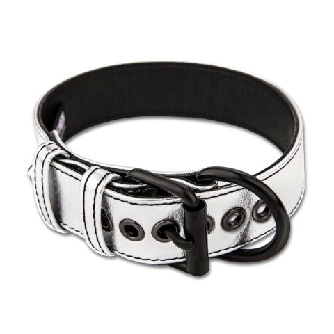 OBROŻA BONDAGE FETISH METALLIC PUP COLLAR WITH LEASH 24-0329 OBROŻA BONDAGE FETISH METALLIC PUP COLLAR WITH LEASH 24-0329