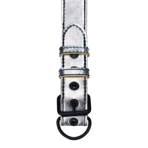 OBROŻA BONDAGE FETISH METALLIC PUP COLLAR WITH LEASH 24-0329 OBROŻA BONDAGE FETISH METALLIC PUP COLLAR WITH LEASH 24-0329