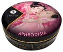 MINI MASSAGE CANDLE 14-3690 MINI MASSAGE CANDLE 14-3690