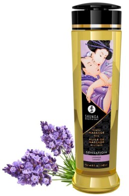 Shunga Massage Oil Sensation – Lavender | Luksusowy Olejek do Masażu 240 ml