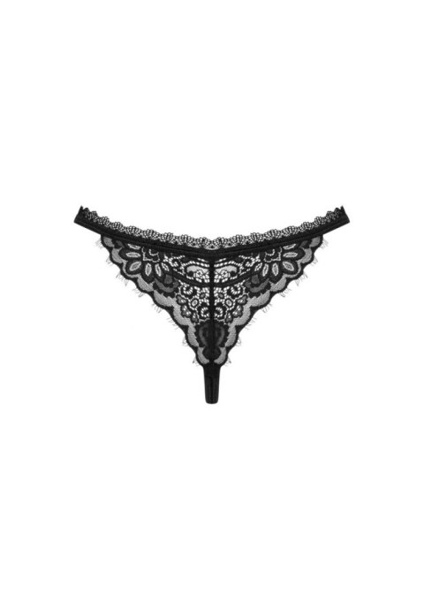 Maderris stringi M/L Maderris stringi M/L