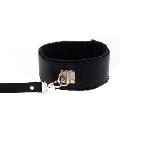 Collar with detachable leash Collar with detachable leash