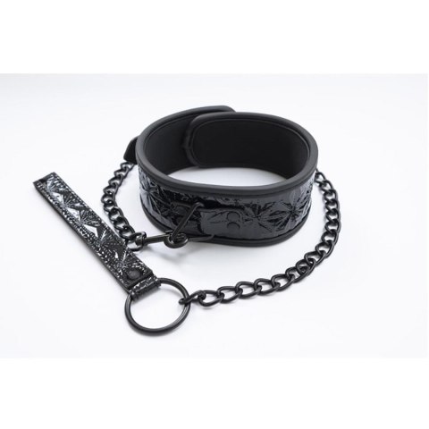 Collar with detachable leash Collar with detachable leash
