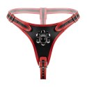 Fetish Collection - Triple Dildo Strap-On Harness