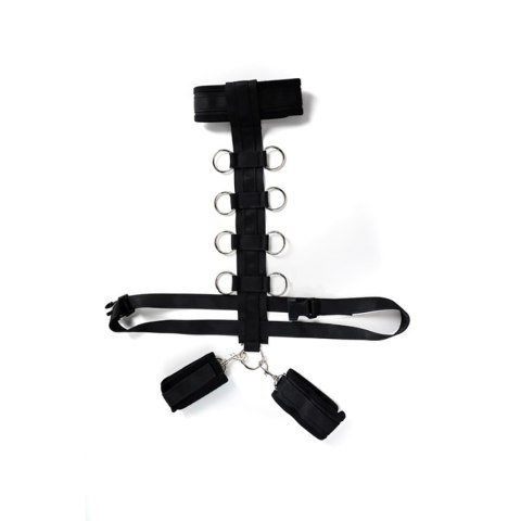 Harness with adjustable neck, belt and breastplate with rings Harness with adjustable neck, belt and breastplate with rings