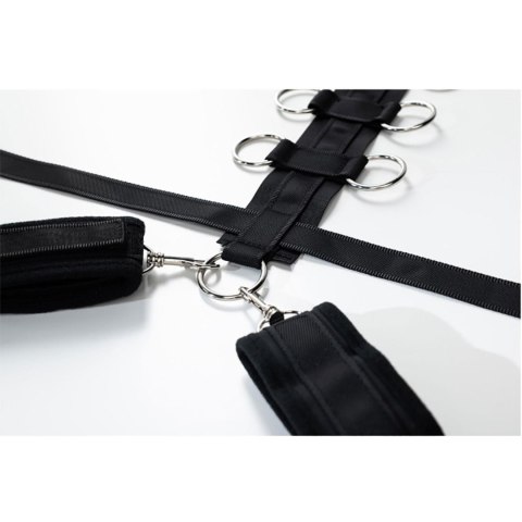 Harness with adjustable neck, belt and breastplate with rings Harness with adjustable neck, belt and breastplate with rings