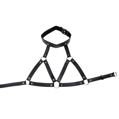 Adjustable neck and chest harness Adjustable neck and chest harness