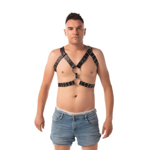 Chest harness Chest harness