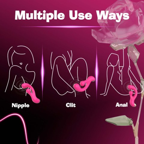 Sani Rotaing Vibrator