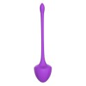 Virgo purple